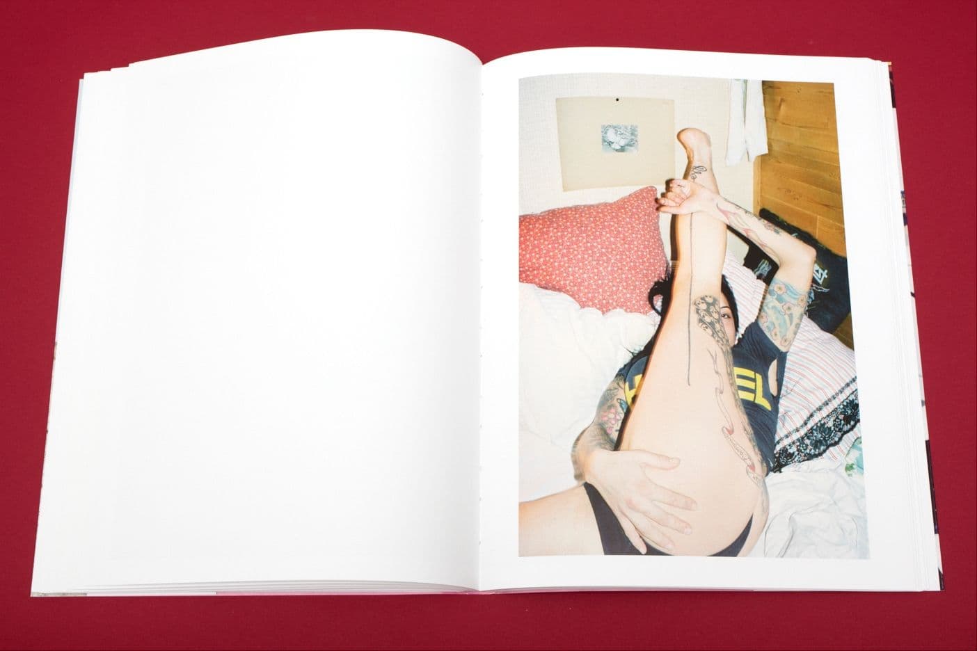 I Heart Transylvania