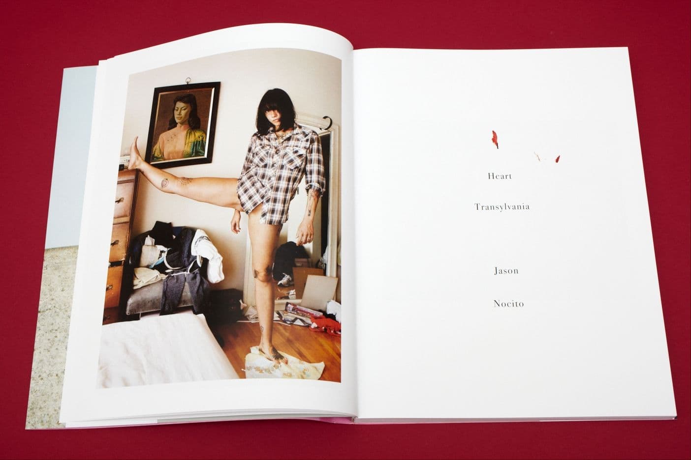 I Heart Transylvania