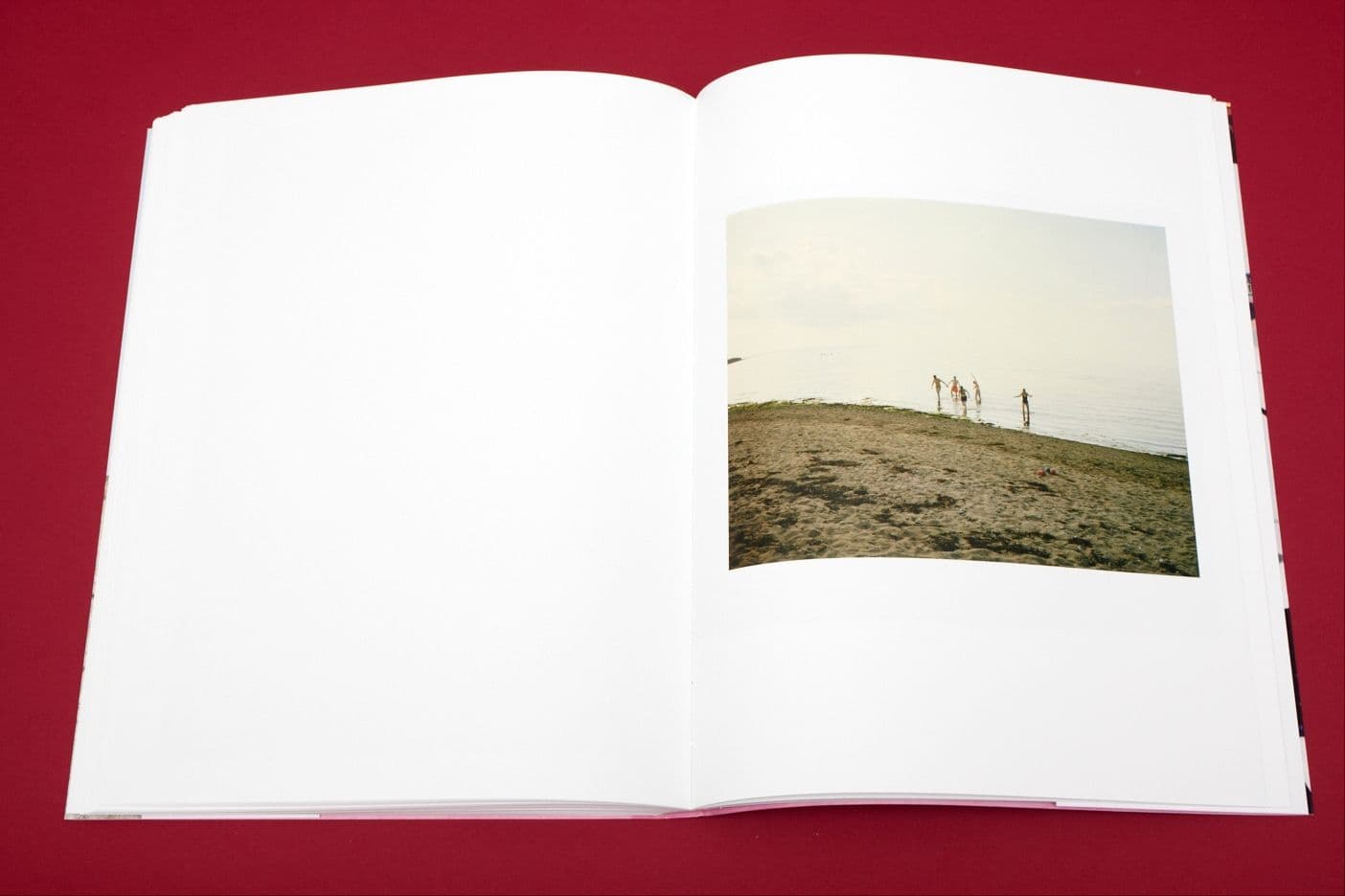 I Heart Transylvania