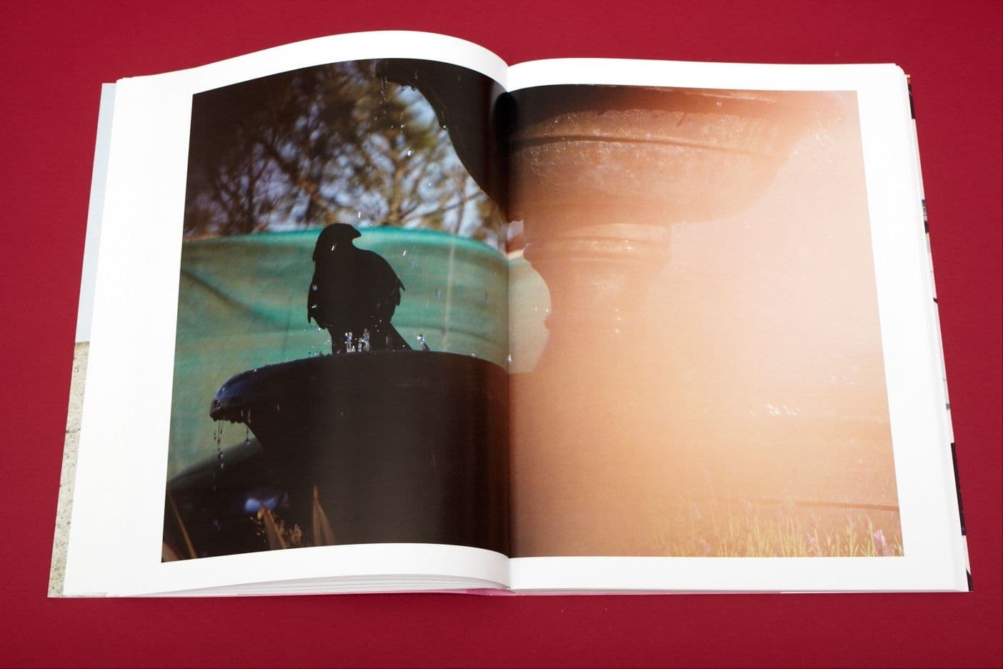 I Heart Transylvania