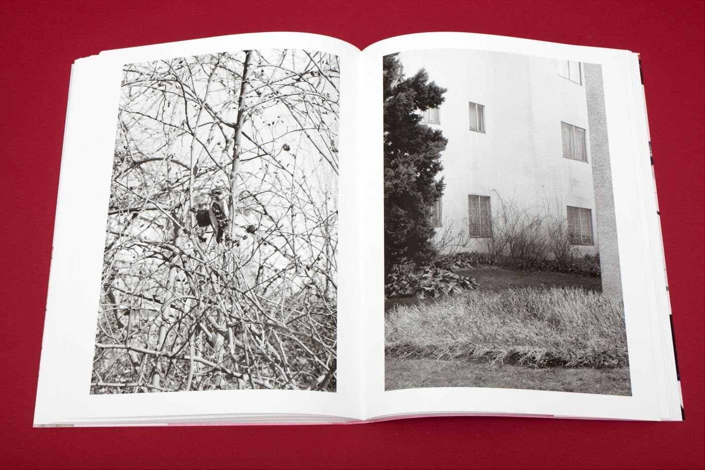 I Heart Transylvania