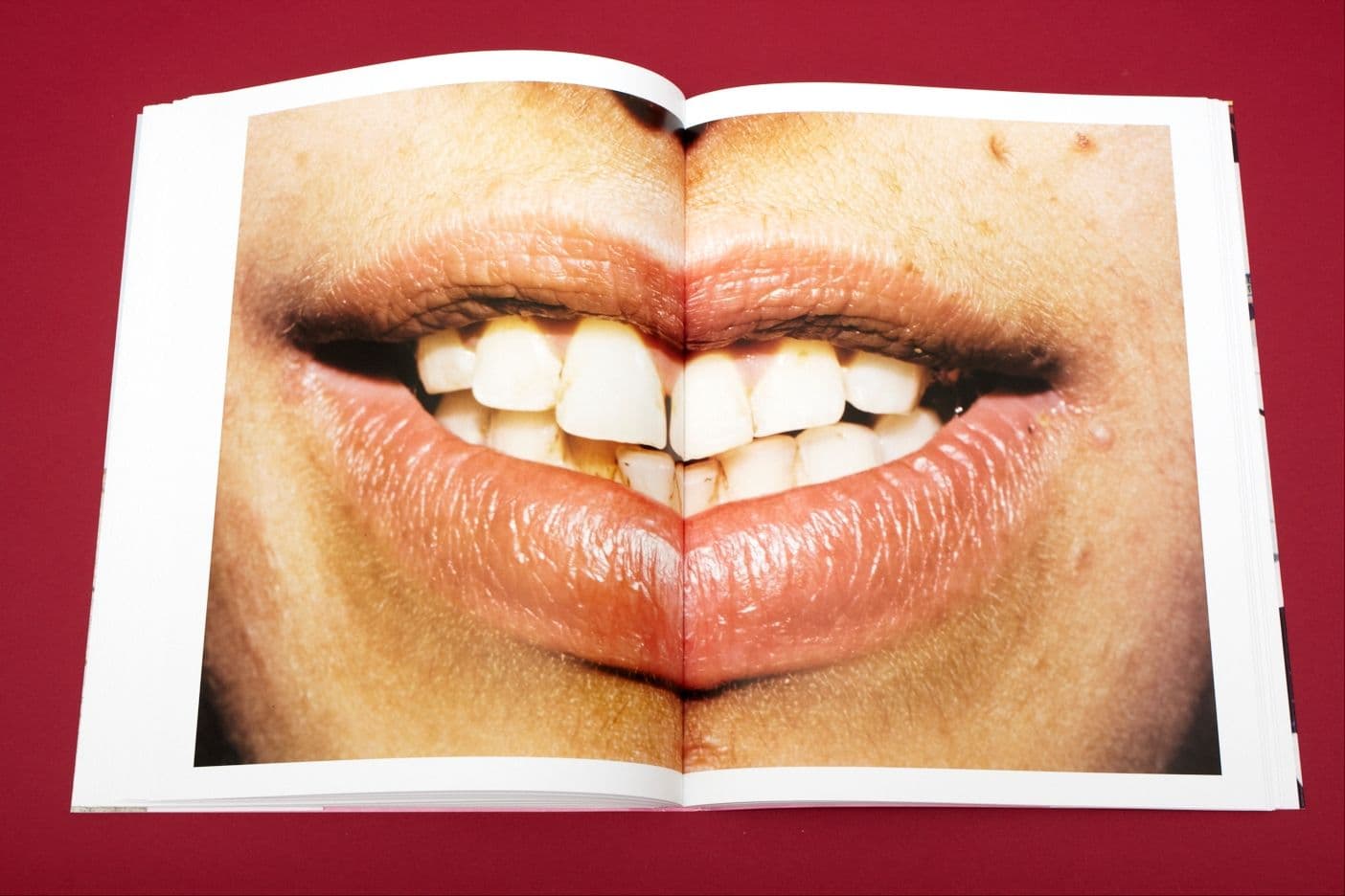 I Heart Transylvania