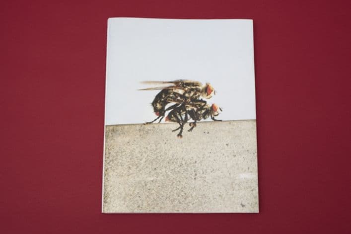 I Heart Transylvania