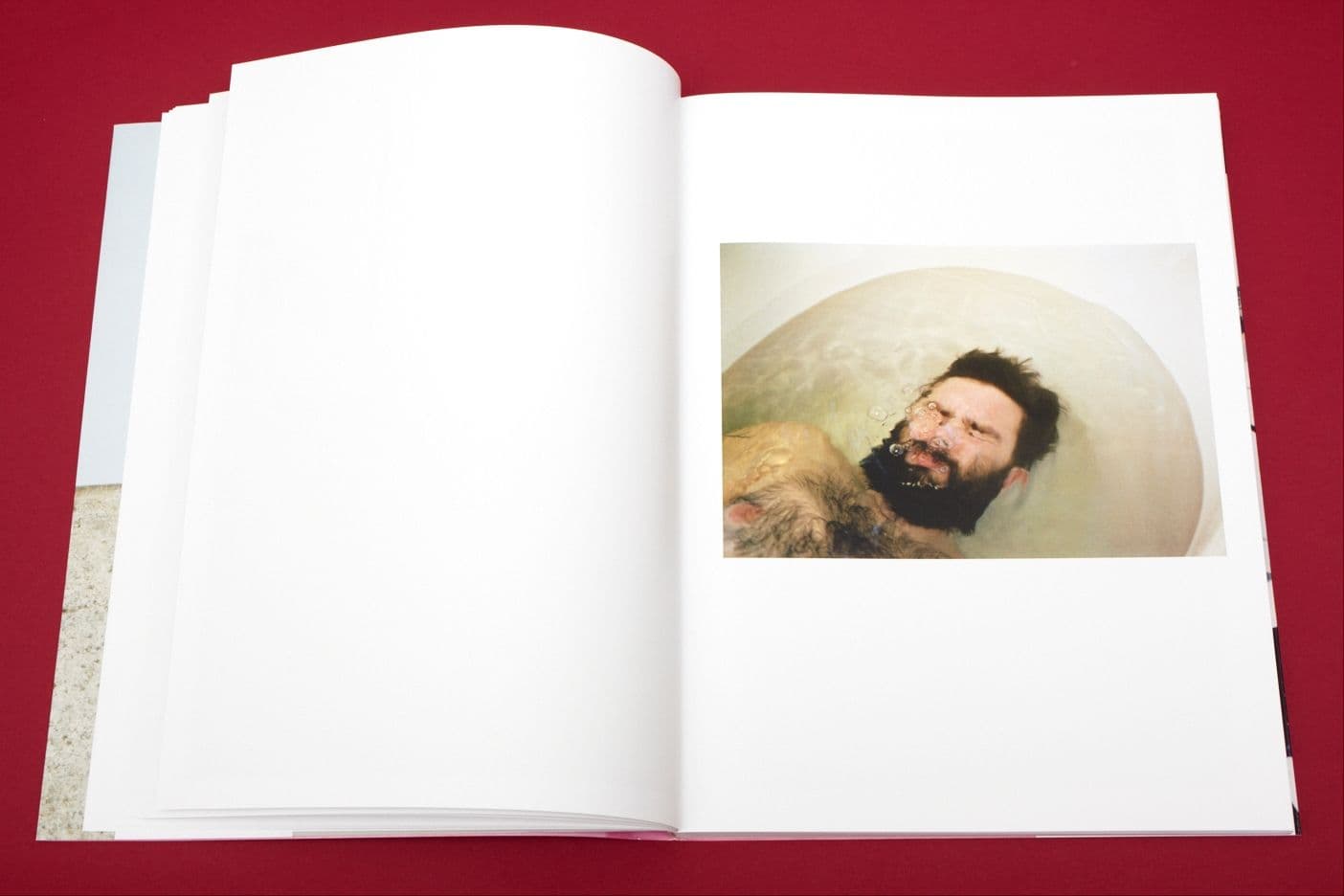 I Heart Transylvania