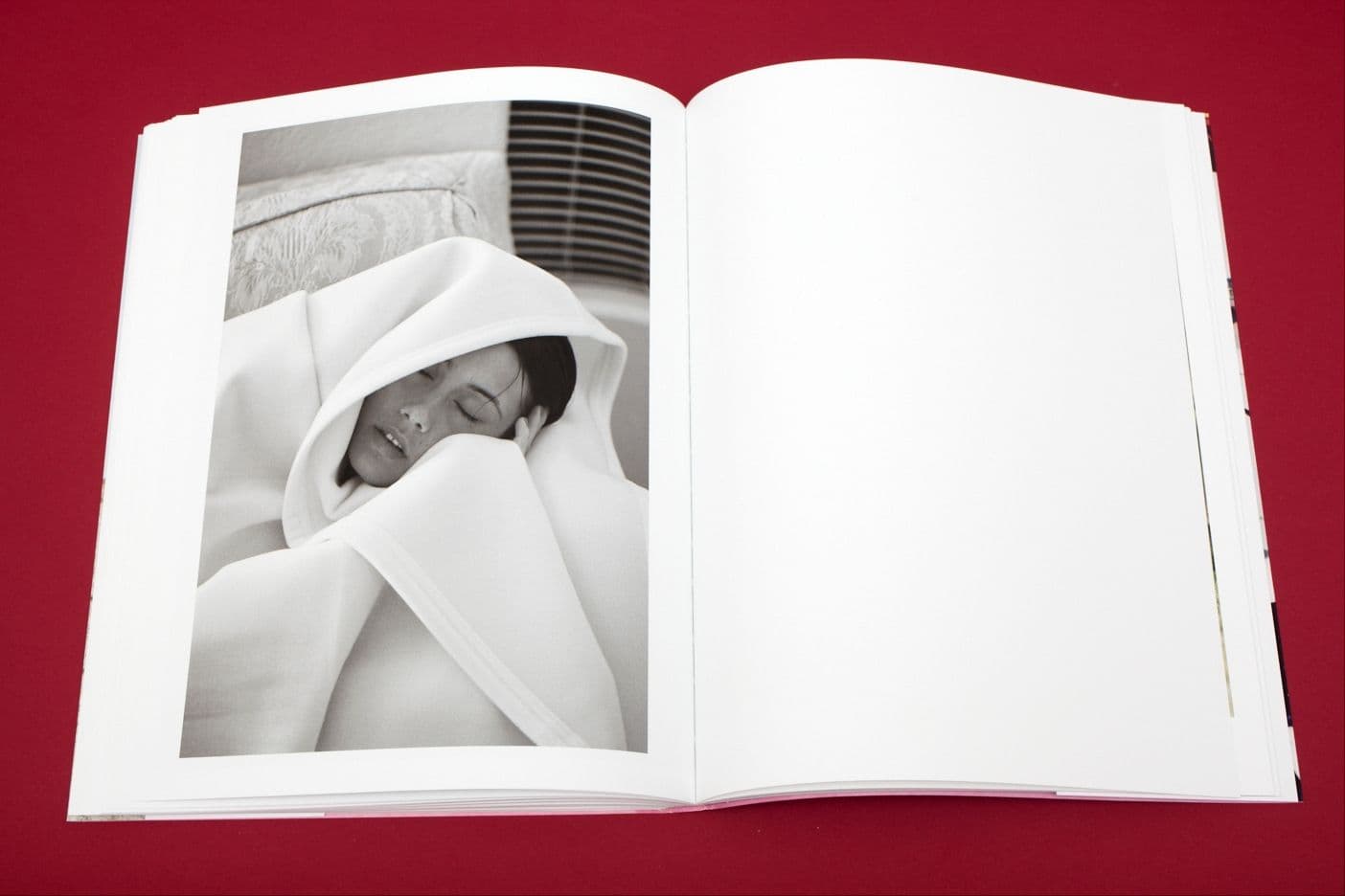 I Heart Transylvania