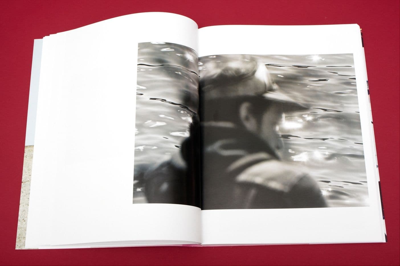 I Heart Transylvania