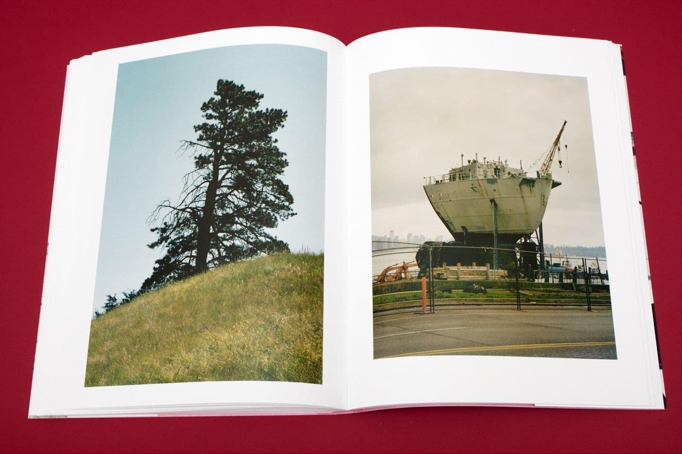 I Heart Transylvania