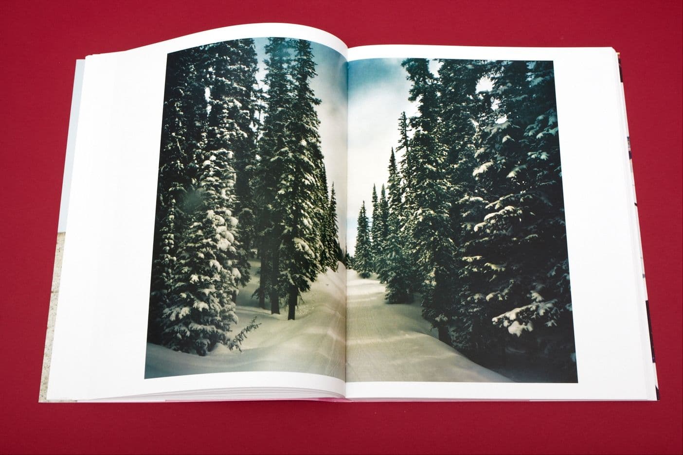 I Heart Transylvania