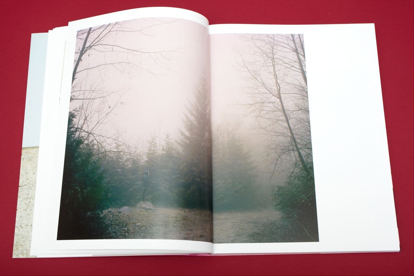 I Heart Transylvania