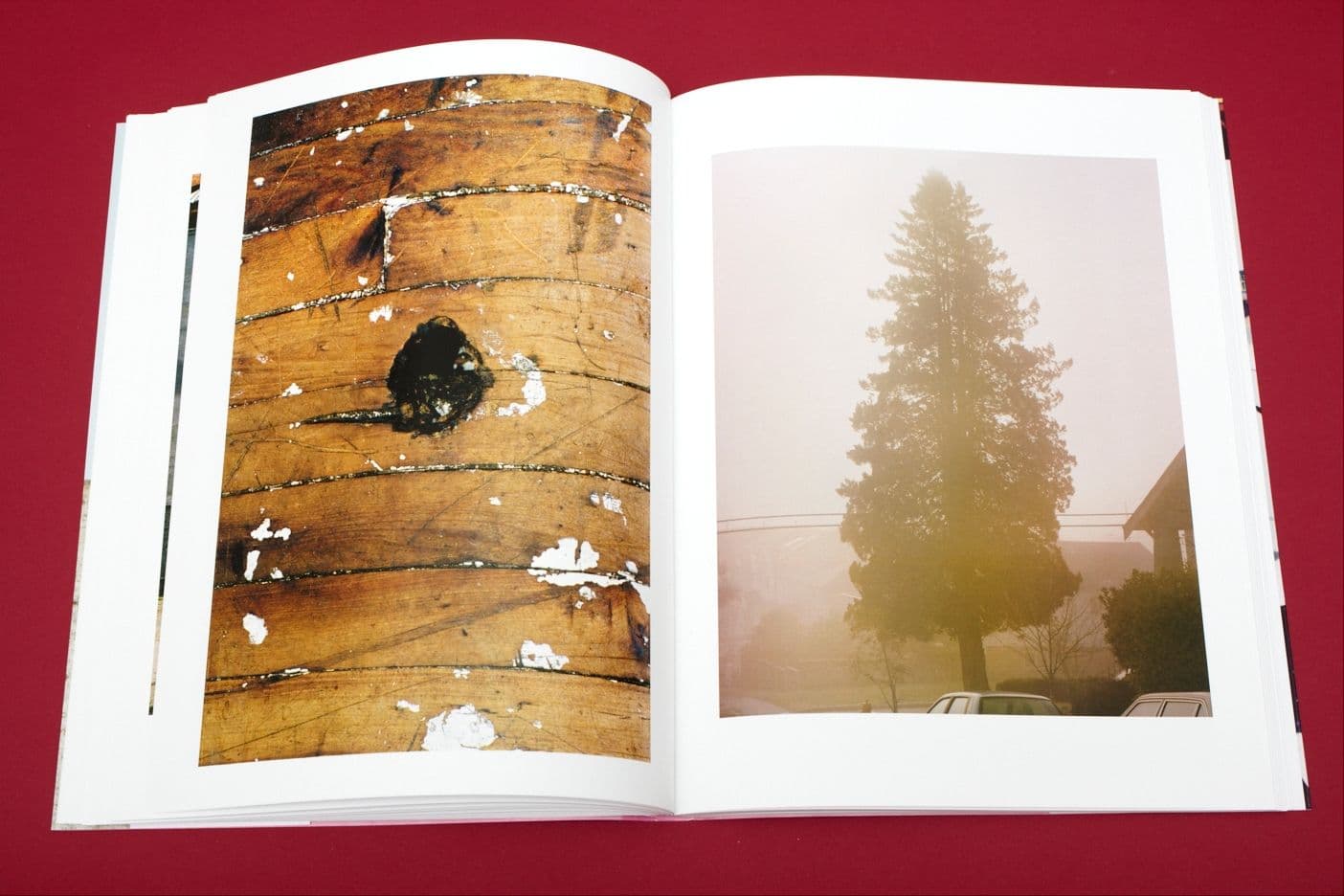 I Heart Transylvania