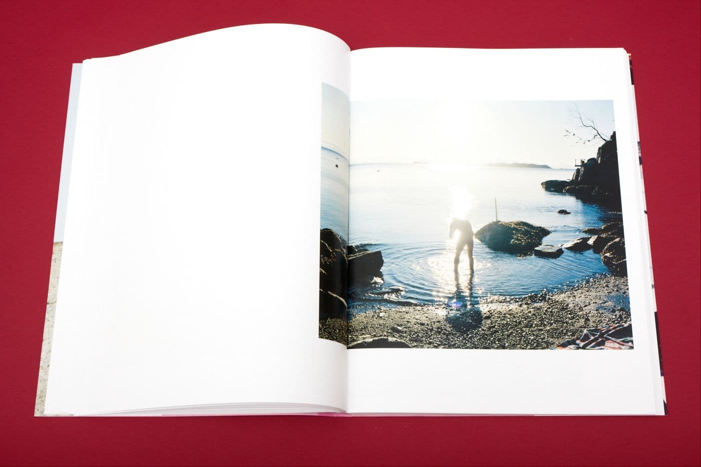 I Heart Transylvania