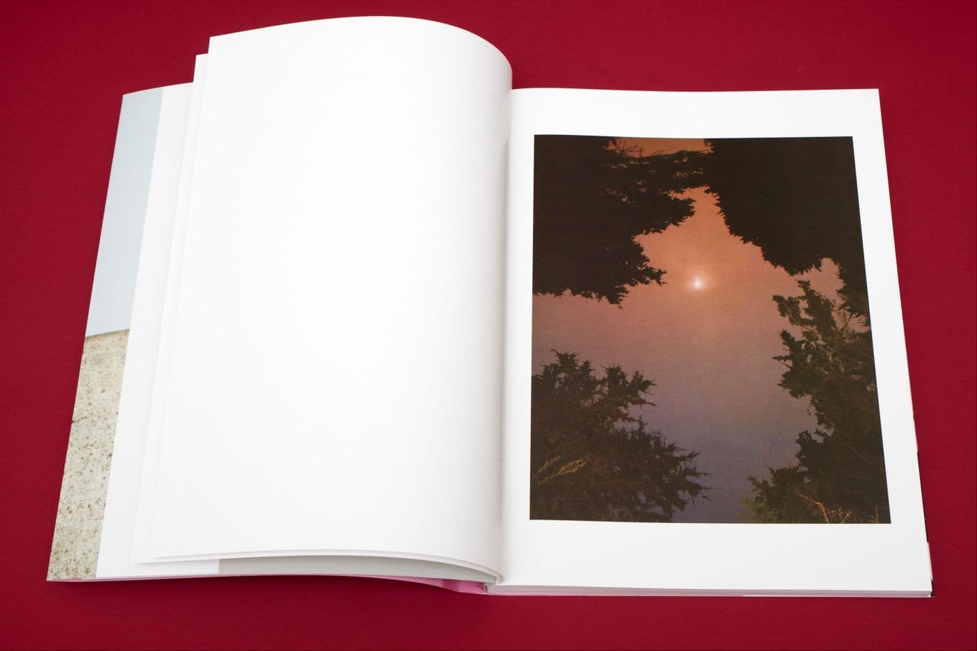 I Heart Transylvania